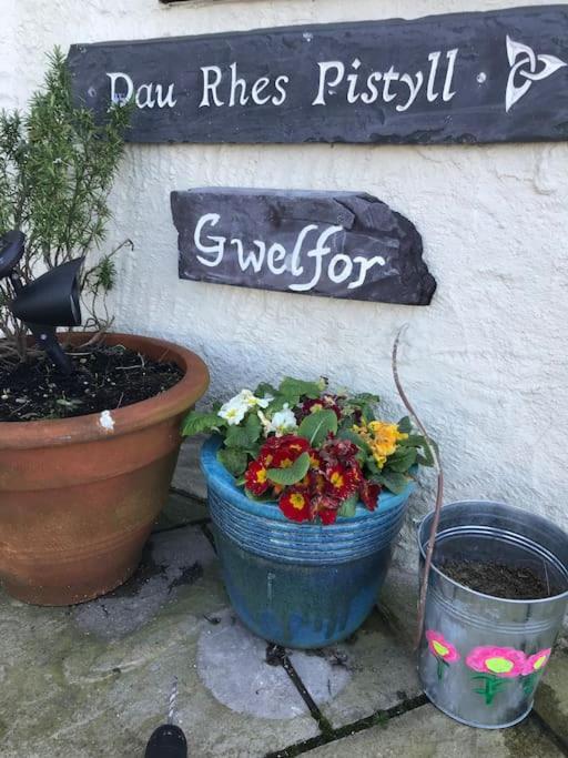 Gwelfor Seaview Villa Pistyll Eksteriør billede