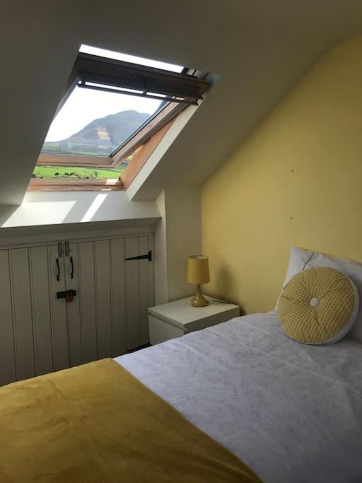 Gwelfor Seaview Villa Pistyll Eksteriør billede