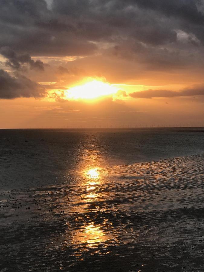 Gwelfor Seaview Villa Pistyll Eksteriør billede